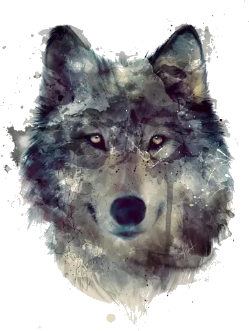 Wolves Background Transparent Png Wolf Art Wolf Transparent Png