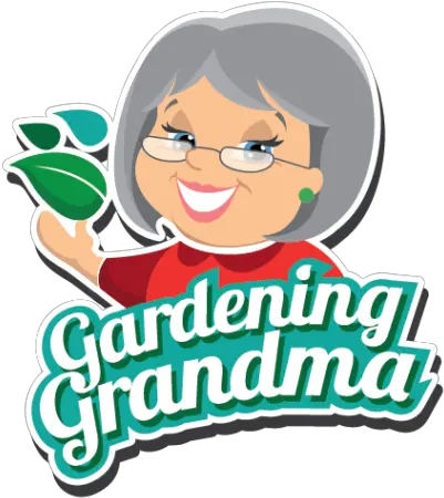 Grandma Png Clipart Grandma Grandma Png