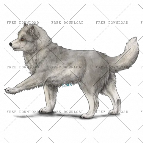 Arctic Fox Png Image With Transparent Slovak Cuvac Fox Png