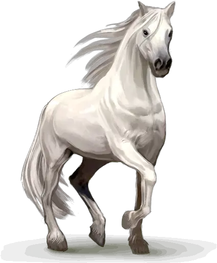 Png Horse Image Horse Png White Horse Png