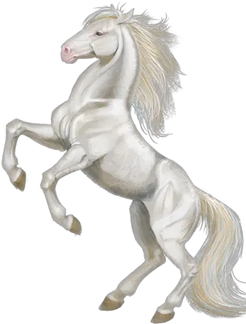 V Stallion Png White Horse Png