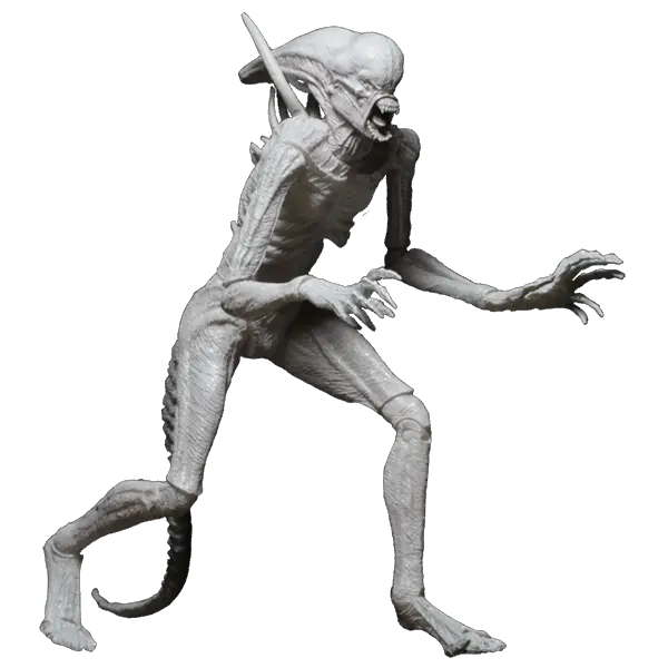 About Badgerbee Design England Girl Png Halftone Png