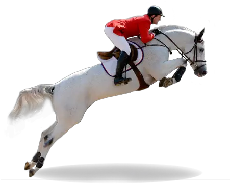 Mctimoney Chiropractic A Good Choice For You And Your Horse Horse Jumping No Background Png Horse Transparent Background