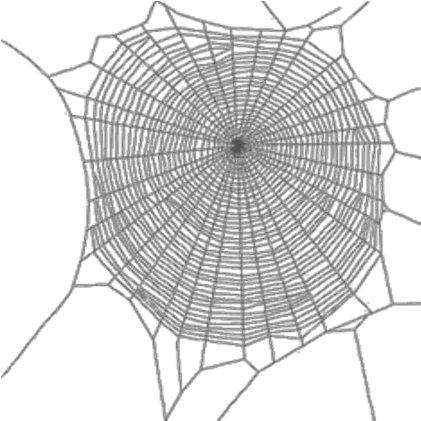 Cobweb Png Image Cob Web Cobweb Png