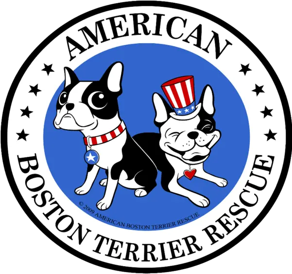 American Boston Terrier Rescue Nonprofit Giving Platform Genba Sopanrao Moze College Of Pharmacy Png Boston Terrier Png