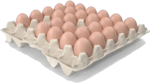 Eggs Png Images Transparent Background Play Open Egg Carton Png Eggs Transparent Background