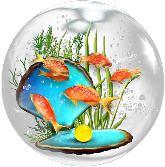 Fish Bowl Cartoon Images Free Download Cartoon Pearl Shell Png Fish Bowl Png