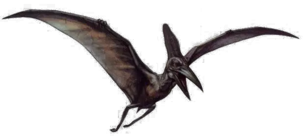 Download Dinosaur Png Image Transparent Transparent Background Dinosaur Bird Png Dinosaur Transparent Background