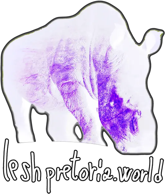 Leshpretoriaworld Bison Png Rhino Png