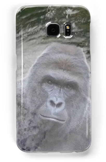 Download Harambe Png Image With No Smartphone Harambe Transparent