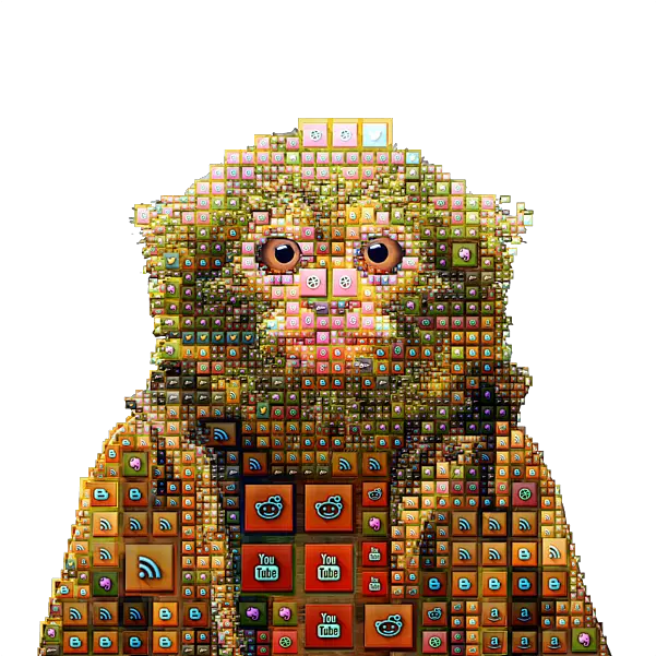 Social Animals Pygmy Marmoset Social Media Icon Mosaic Puzzle Pygmy Marmoset Png Social Networks Icon