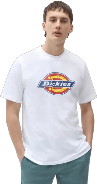 Sweden Sneakers Point Dickies Png Nike Tee futura Icon