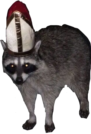 Popular And Trending Uhhh Stickers Pope Racoon Png Raccoon Emoji Icon