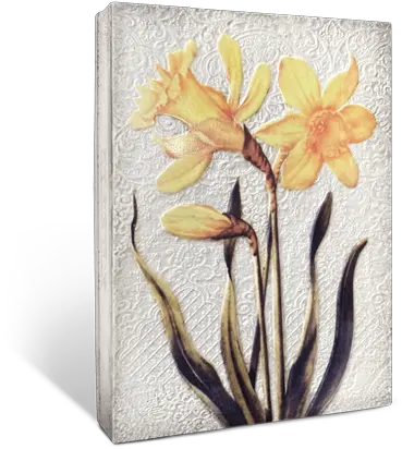 Daffodils Orange Decorative Png Daffodil Png