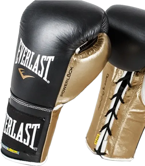 About Us Everlast Png Boxing Gloves Transparent Background