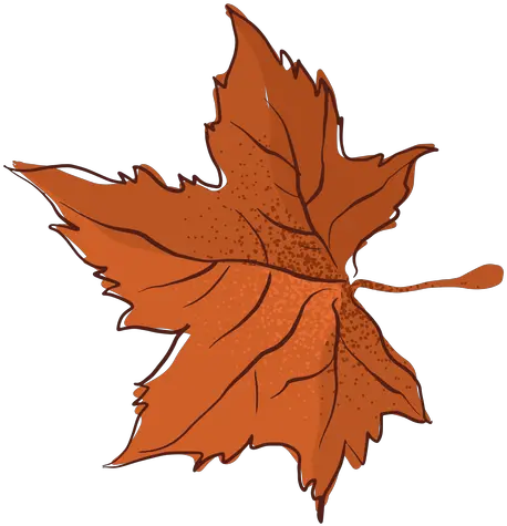 Autumn Maple Leaf Type Hand Drawn Transparent Png U0026 Svg Lovely Maple Leaf Transparent Background