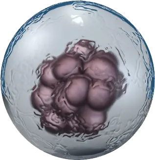 Stem Cells Embryonic Stem Cells Png Cell Png
