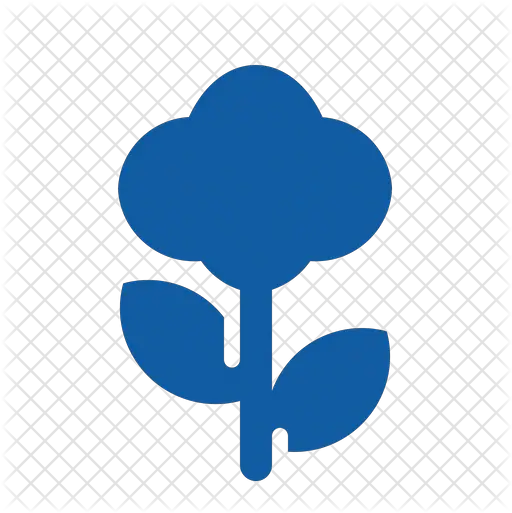 Plant Two Leaf Icon Rose Png Plant Top View Png