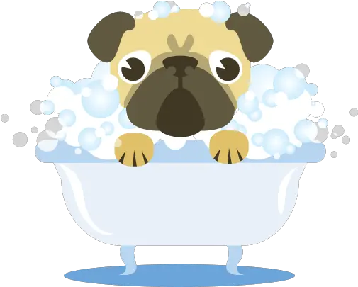 Dog Bath Png Transparent Bathpng Images Pluspng Dog Shower Png Pug Transparent Background