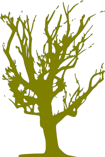 Olive Tree 72 Icon Free Olive Tree Icons Blacked Out Tree Png Olive Tree Png