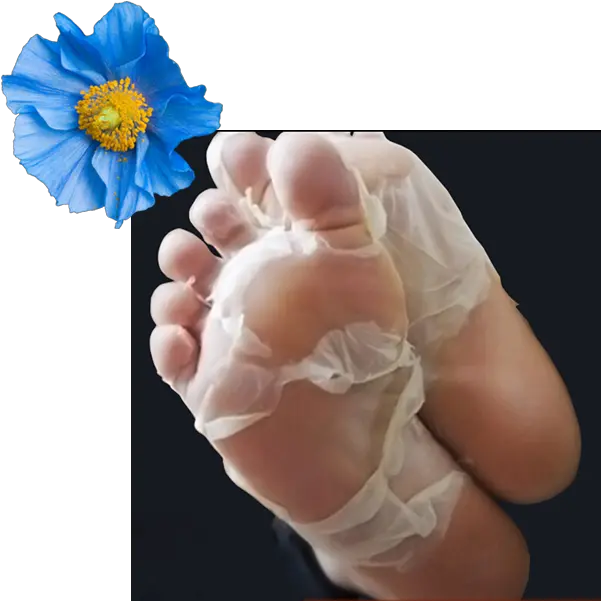 Baby Foot Treatments In Houston Peeling Exfoliating Baby Foot Chemical Peel Png Baby Feet Png