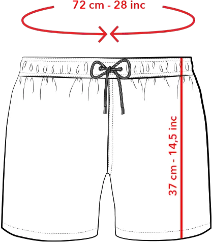 Bluemint Beachwear And Lifestyle Collection Boardshorts Png Levis Icon Shorts