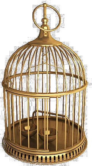 Golden Cage Png Download Image Real Old Fashioned Bird Cages Cage Transparent