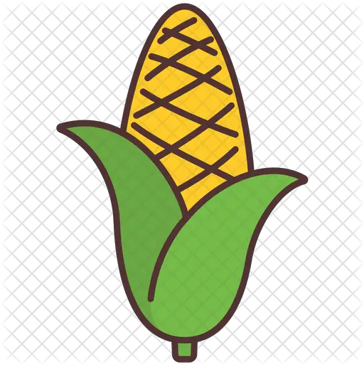 Corn Icon Fresh Png Corn Plant Png
