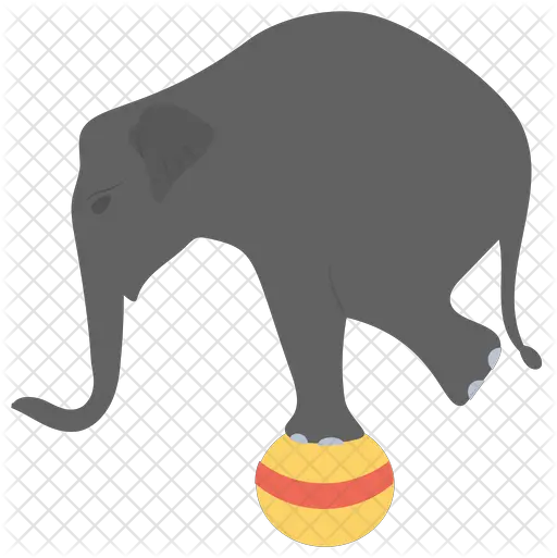 Elephant Circus Icon Gleichgewicht Png Circus Elephant Png