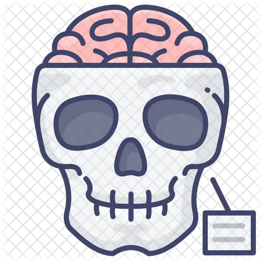 Skull Icon Skull Png Skull Head Png