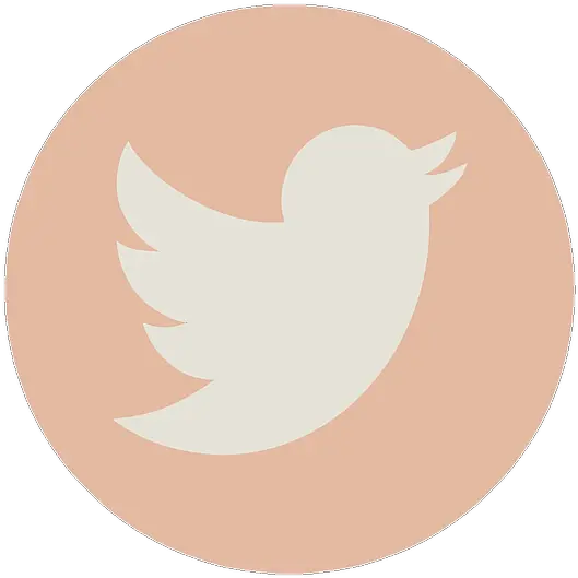 Janedaniells Linktree Old World Flycatchers Png Gold Twitter Icon