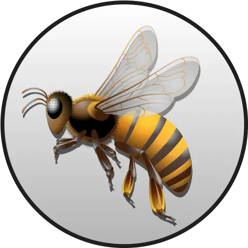 About Parasitism Png Bumblebee Icon