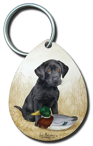 Black Lab Puppy With Decoy Mallard Png Black Lab Png