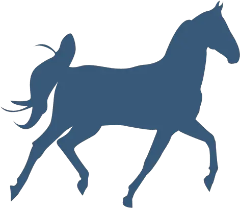 Horse Trotting Silhouette Transparent Png U0026 Svg Vector File Trotting Horse Svg Horse Silhouette Png