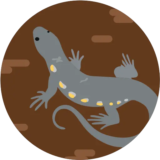 Lizard Reptile Animal Wildlife Free Animal Figure Png Lizard Icon