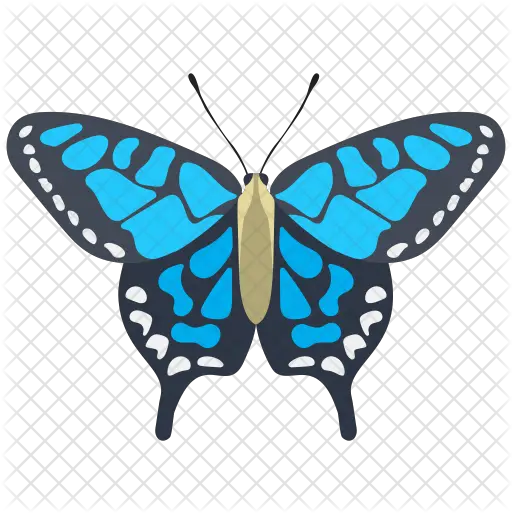 Adonis Blue Butterfly Icon Butterfly Png Blue Butterflies Png