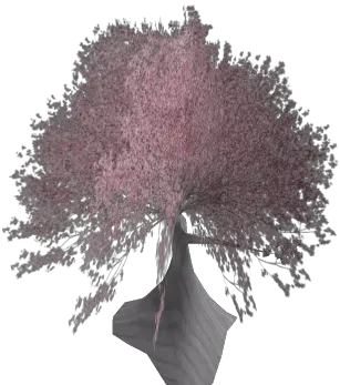 Cherry Blossom Tree Roblox Tree Png Cherry Tree Png
