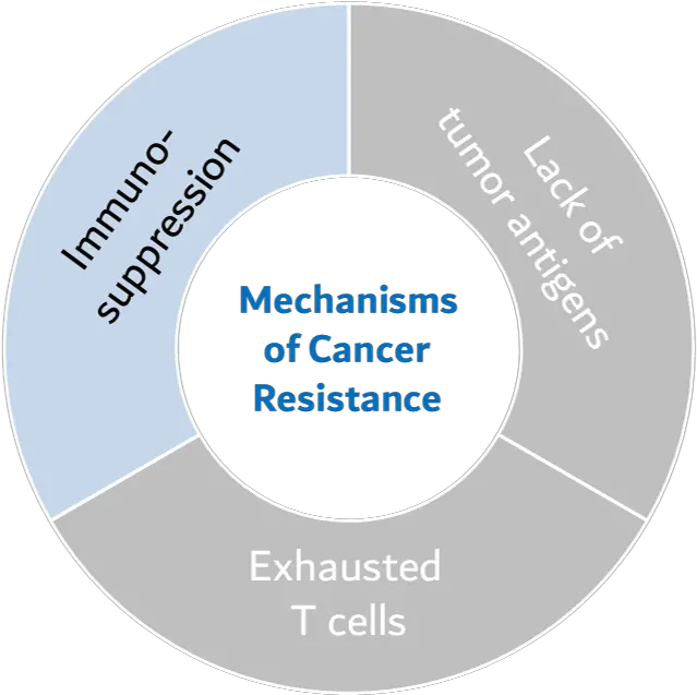Kva121 U2013 Kineta Inc Dot Png Vista Icon Driver