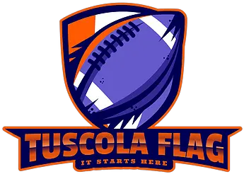 Tuscola Flag Football For American Football Png Flag Football Icon