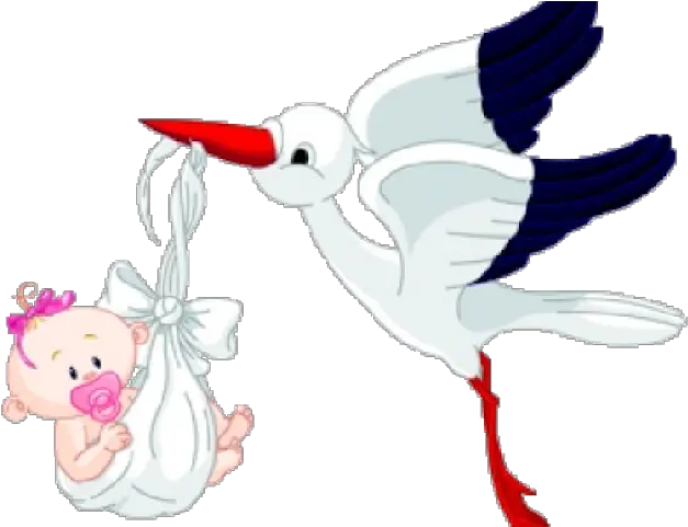 Stork Clipart Baby Transparent Background Bird Carrying Bird Carrying Baby Png Baby Transparent Background png