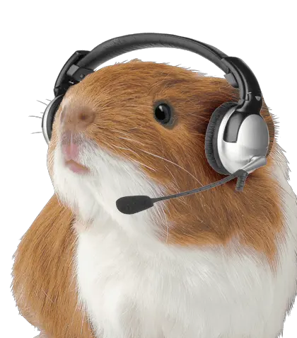 Guinea Pig With Headset Png Image Guinea Pig With Headset Hamster Png