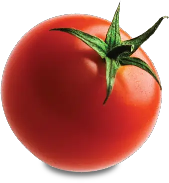 Tomato Png Transparent Images Tomato Png Transparent Tomato Png