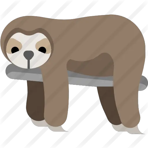 Sloth Sloth Icon Png Sloth Png