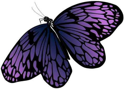 Transparent Png Svg Vector File Purple Butterfly Vector Png Butterfly Transparent