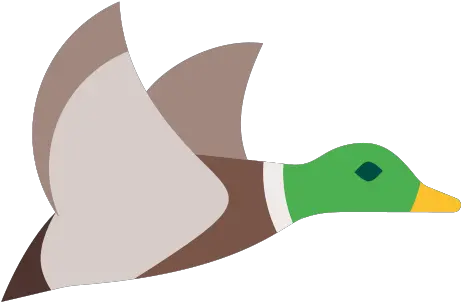 Flying Duck Icon Free Download Png And Vector Mallard Duck Png