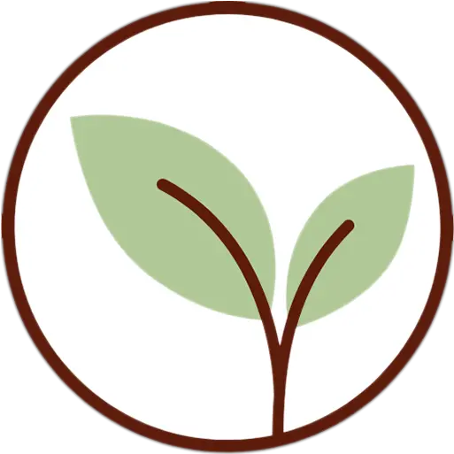 Drying Cilantro Coriander The Kitchen Herbs Language Png Dry Herb Icon