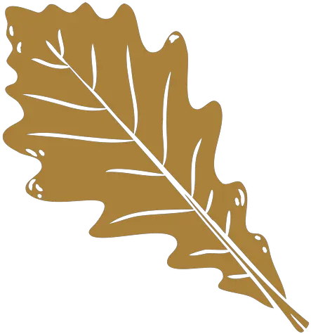 Dried Oak Leaf Cut Out Transparent Png U0026 Svg Vector Black Oak Oak Leaf Icon