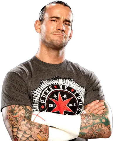 Ah You Liked It Share Punk In Punk We Trust Png Cm Punk Png