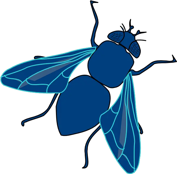 Download Fly Png Transparent Image Clipart