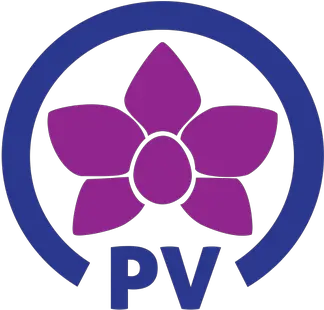 Peoples Voice Singapore Election Parties 2020 Png Google Voice Logo